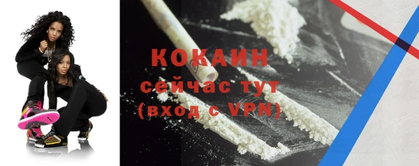 спиды Лиски