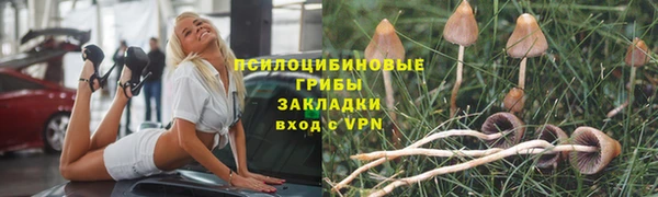 спиды Лиски